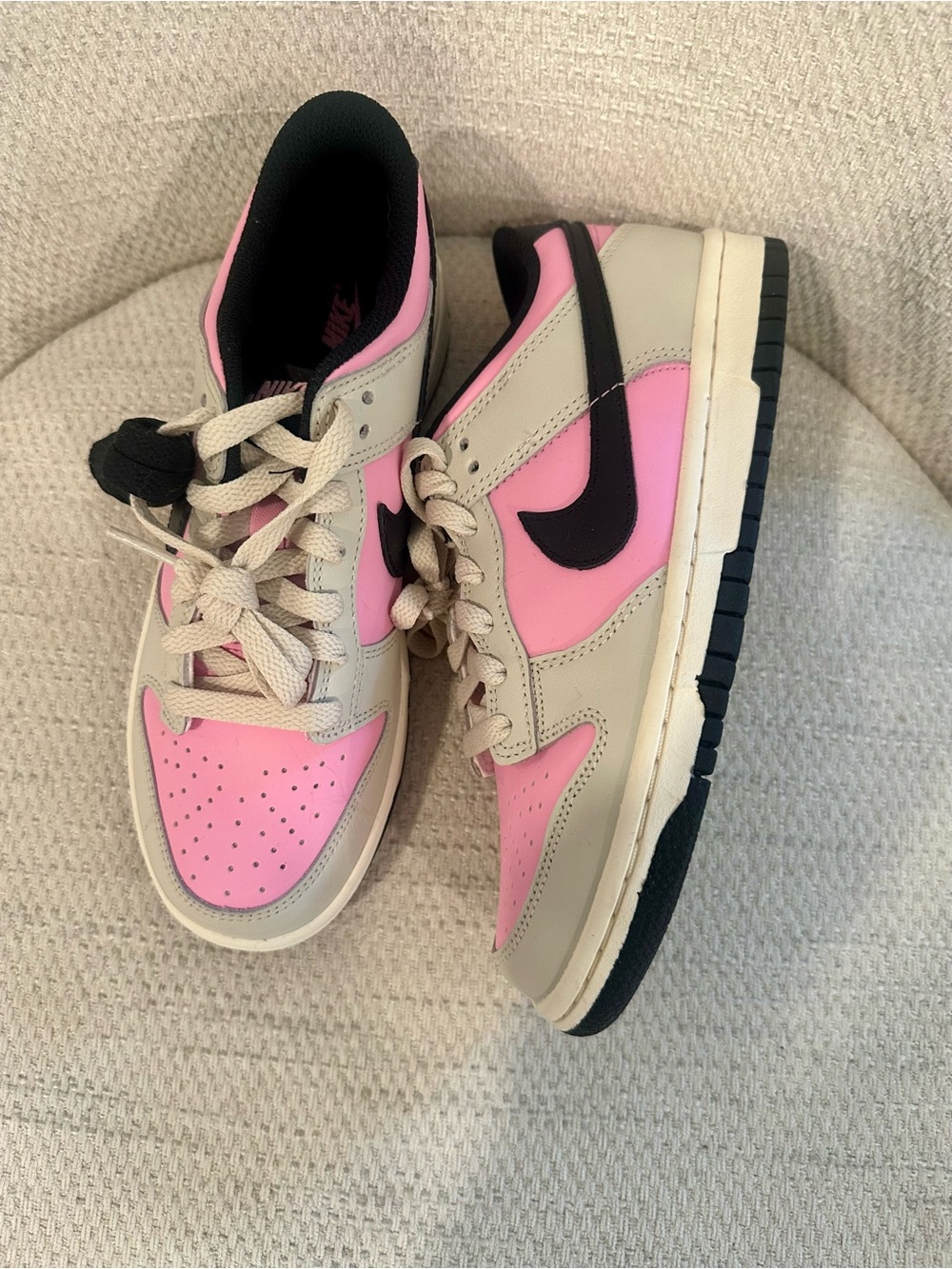 Nike Dunk Low Big Kids' Shoes